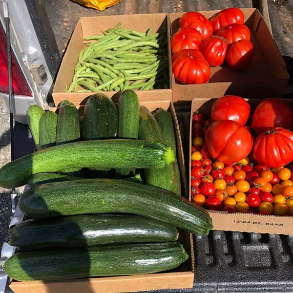 CSA Program, Organic Produce & Flowers Healy, Alaska