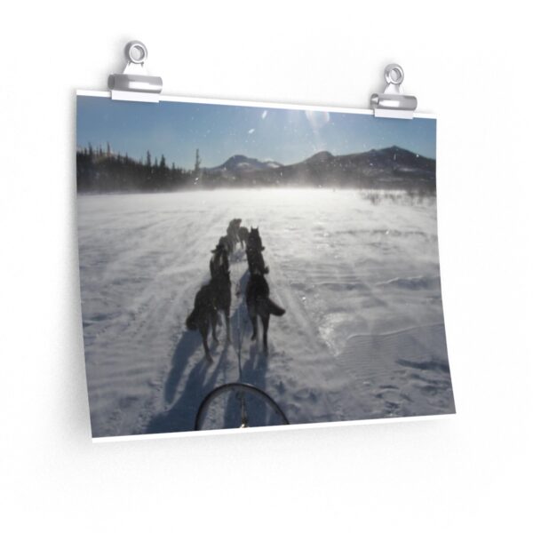 Premium Matte horizontal posters - Image 3