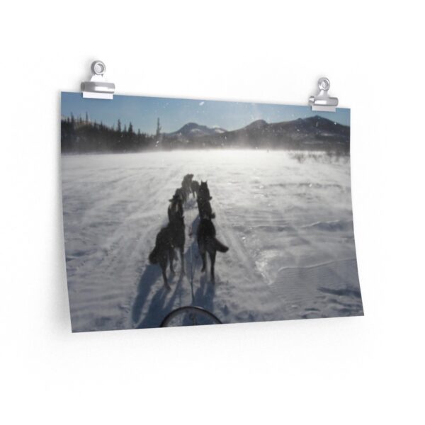 Premium Matte horizontal posters - Image 4