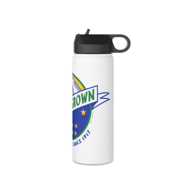 Stainless Steel Water Bottle, Standard Lid - Image 18