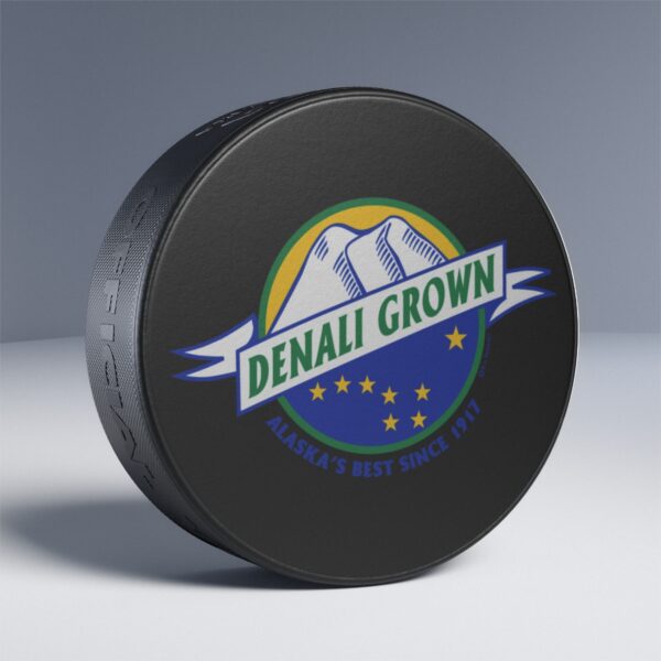 Hockey Puck